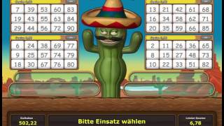 Crazy Cactus - Novoline Spielautomat Kostenlos Spielen screenshot 4