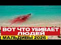 8 НЕБАНАЛЬНЫХ ПРИЧИН СМЕРТЕЙ НА МАЛЬДИВАХ. Вы Должны ЭТО Знать Перед Поездкой!