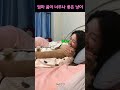 엄마 품이 너무나 좋다는 고양이