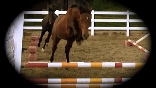 D&D first time freejumping