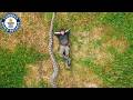 Best Records Of The Week (LONGEST SNAKE!) | Guinness World Records
