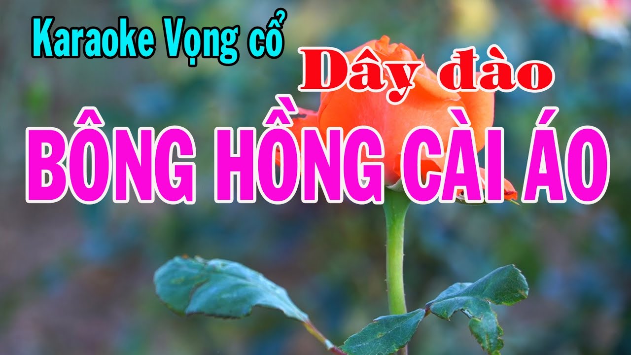 Karaoke vọng cổ BÔNG HỒNG CÀI ÁO -  DÂY ĐÀO [ Tác giả Thầy Thanh Vân]