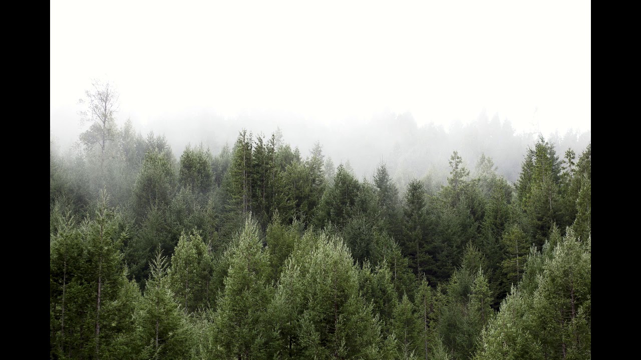 California Wildfire Commentary