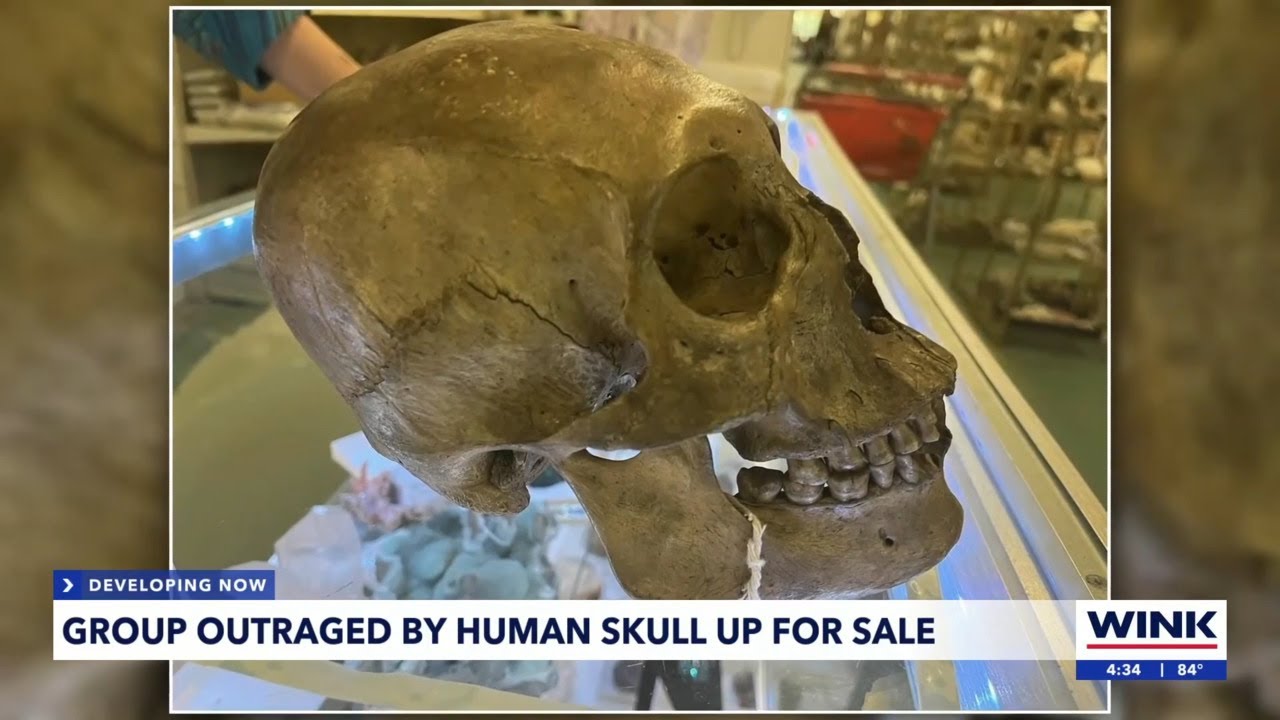 Group calling for store manager selling human skull to be arrested