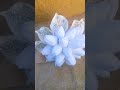 باكيدج كتب كتاب Part 2 باكيدج كتب كتاب Part 2