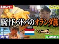 “絶景と美食で脳汁放出！”アムステルダム海外一人旅【オランダ2日目】