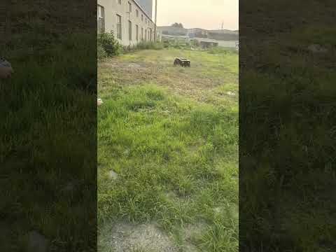 MERI ME550-T Remote Control Lawn Mower | Simple & Efficient Everyday Grass Cutting