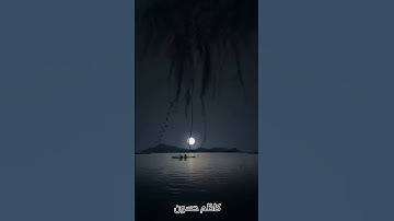 قرآن كريم ❤ سورة الفجر . بطبقة حزينة