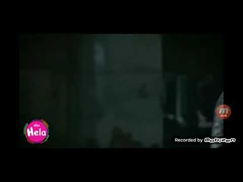 هوشة مراد ومران ضد هاني وعصابته