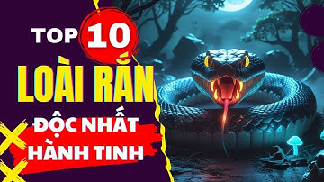 Top 10 Loài Rắn Độc Nhất Thế Giới 🐍 | Số 1 Có Thể Giết 100 Người Chỉ Với Một Cú Cắn!