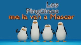 1 hour of Los Pengüinos me la van a Mascar