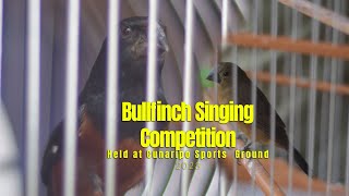 Bullfinch Bird Singing Competition in Sangre Grande, Trinidad - 21 May 2023