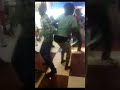 ملوك الديرتي منتديات استرليني ملوك الديرتي منتديات استرليني