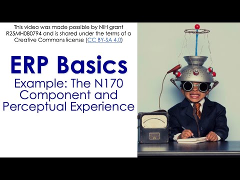 ERP Basics 3-  N170 Example