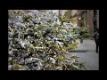 Francesco De Gregori, Natale (per chitarre)