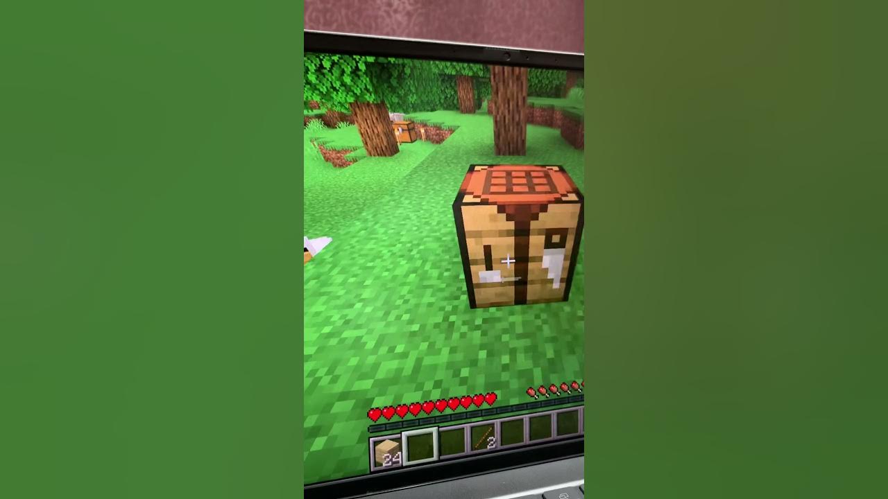 Minecraft java demo - YouTube