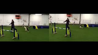 Celebrity Deena and Dexter Net Worth