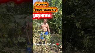#волонтеры #сочи #помощь #добрый #ремонт #ремонтподключ #стройка #помогатьлегко