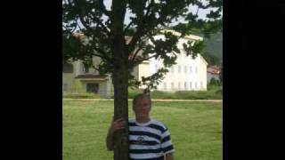 RICHARD EMUNDS & AMIGOS EM MEDJUGORJE.wmv