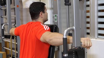 Machine Reverse Flyes - Shoulders Exercise
