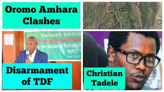 Oromo Amhara clashes | Disarmament of Tigray fighters | Christian Tadele