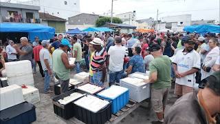 Delicious cheese at a low price in Cachoeirinha-PE.