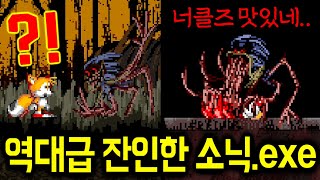 역대급!! 잔인한 소닉.exe 예측불가 엔딩까지?? 동심파괴 주의!! (SØNIC.exe / 소닉 exe 공포게임)