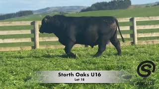 Lot 18 Storth Oaks U16 SD 480p
