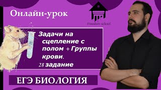 Сцепленное с полом наследование + группы крови 28 задание ЕГЭ. |ЕГЭ БИОЛОГИЯ|Freedom|