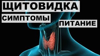 ЩИТОВИДНАЯ ЖЕЛЕЗА:СИМПТОМЫ заболеваний,ПИТАНИЕ.Гипотиреоз.Гипертиреоз. ЩИТОВИДНАЯ ЖЕЛЕЗА:СИМПТОМЫ заболеваний,ПИТАНИЕ.Гипотиреоз.Гипертиреоз.