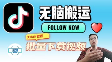 无脑搬运？一键批量下载抖音全部视频！每天搬运一个博主视频，单账号月入7500，赚钱玩法揭秘#抖音下载#去水印#搬运#自媒体