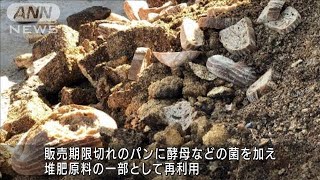 期限切れパンに酵母など・・・堆肥も再利用のベーカリー(2022年6月15日)