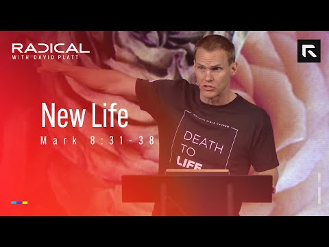 New Life || David Platt