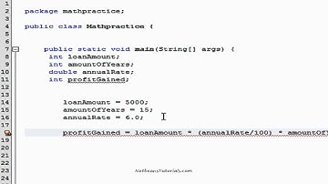 Using variables in equations with Netbeans IDE