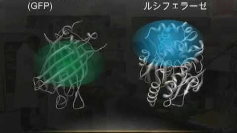 Department of Biomolecular Science and Engineering