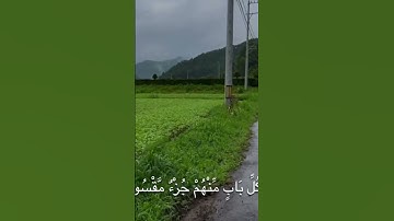 القران الكريم تلاوة هزاع البلوشي سورة #المصحف الحجر #راحة_نفسية