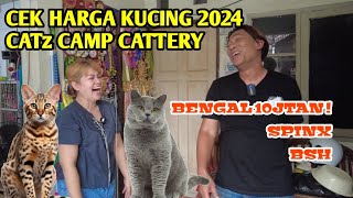HARGA JUAL KUCING BENGAL DI CATTERY RUMAHAN & CEK HARGA KUCING RAS 2024 #kucingbengal #kucingbsh by Putra Fajar 88 667 views 13 days ago 17 minutes