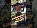 Wood chopping body Farm Workout #splittingwood #choppingwood #homestead #garden #axe #wood #farm