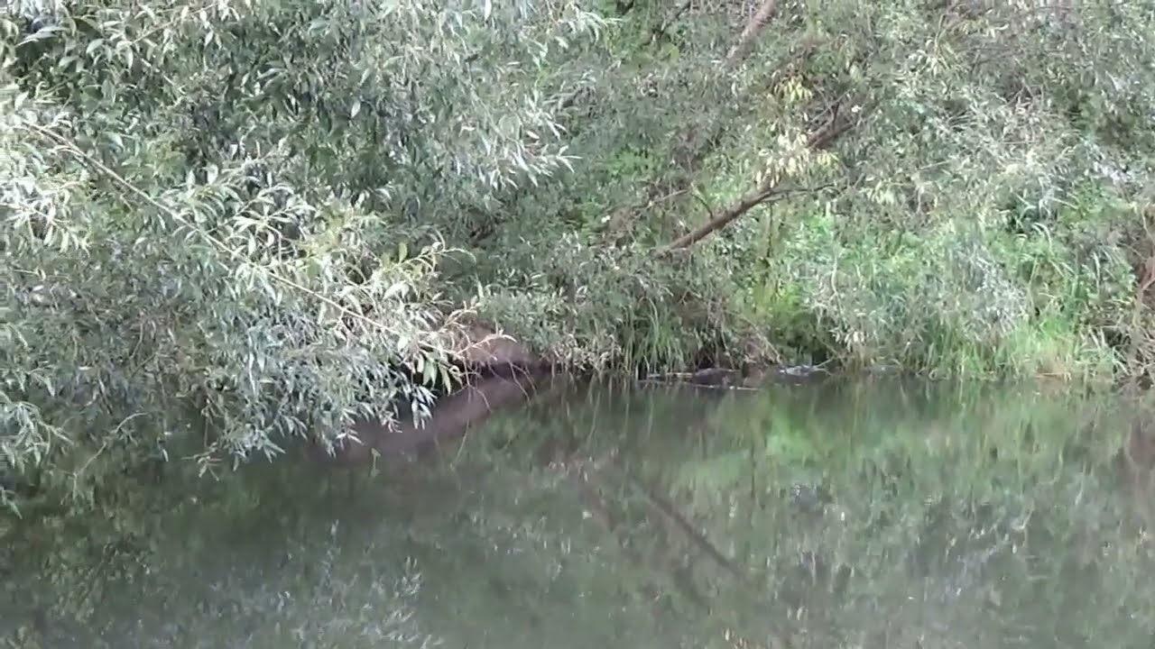 🔴РЫБАЛКА В ЖИВОПИСНОМ МЕСТЕ🔴КРАСИВАЯ ПРИРОДА, РЫБА И  ФИРМЕННЫЙ ЧАЙ