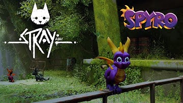 Stray | Spyro the Dragon Mod!