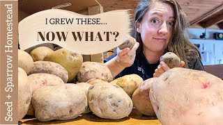 Preserving 150 lbs of POTATOES! [Freezing, Canning, and Freeze Drying]