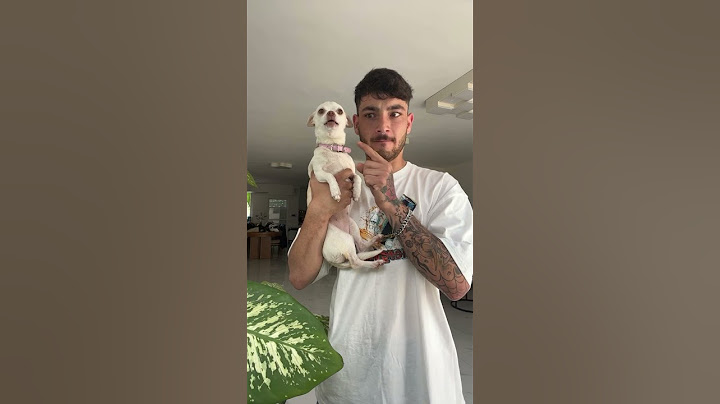 Kissing my angry chihuahua