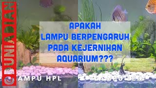 Review singkat dan pemasangan Lampu Celup Aquarium.. 