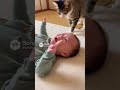 赤ちゃんを起こさないで‼️ | #shorts #animals #baby