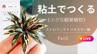 【ポリマークレイ】ミニチュア観葉植物|パート2 |カラテア|ストロマンテトリオスター