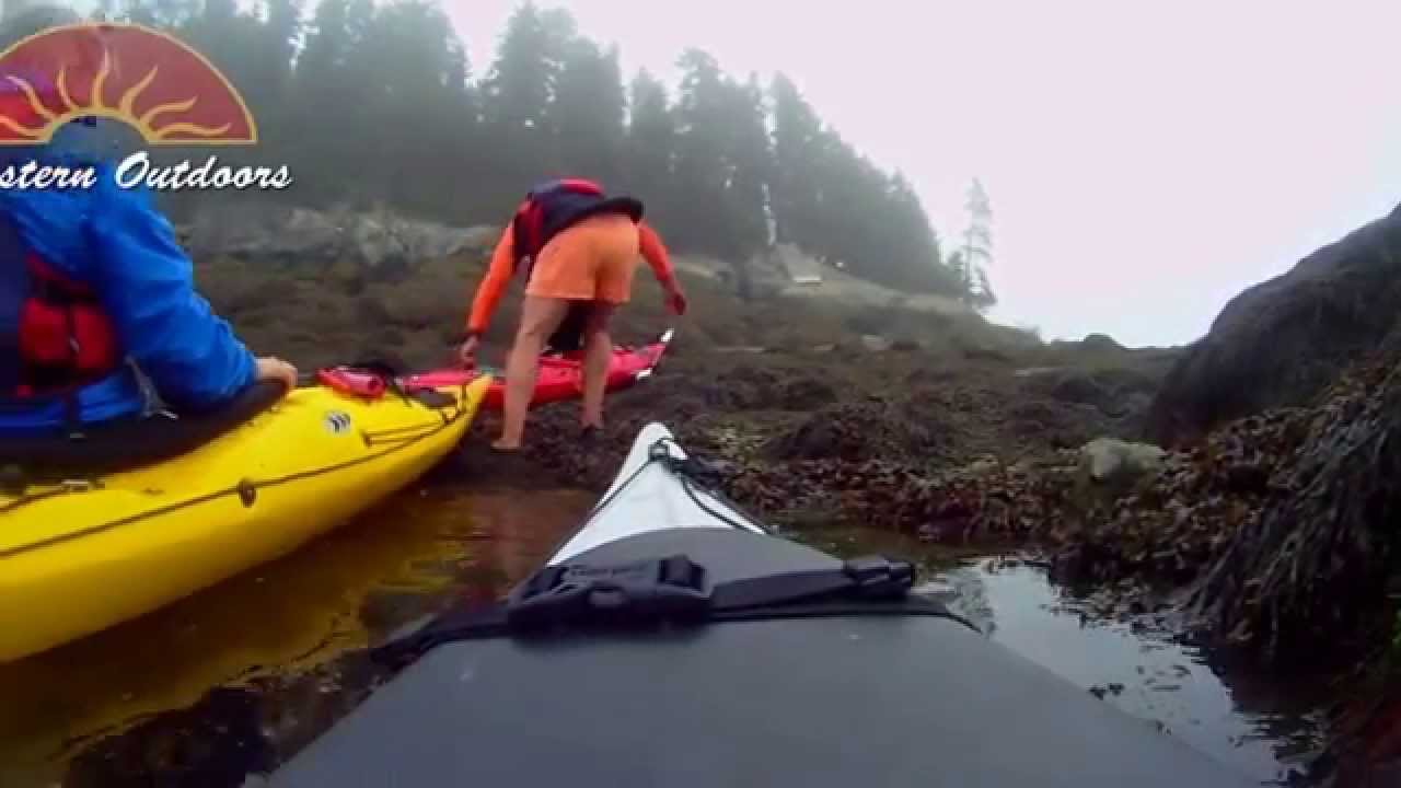 My Back Yard productions