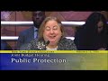 Joint Legislative Public Hearing on 2020-2021 Executive Budget Proposal: Topic Public Protection