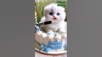 LILLYANNA BIRTHDAY | HAPPY BIRTHDAY SONG WITH NAMES | Adorable Cute Cat 😺 #cat #happybirthday #cute