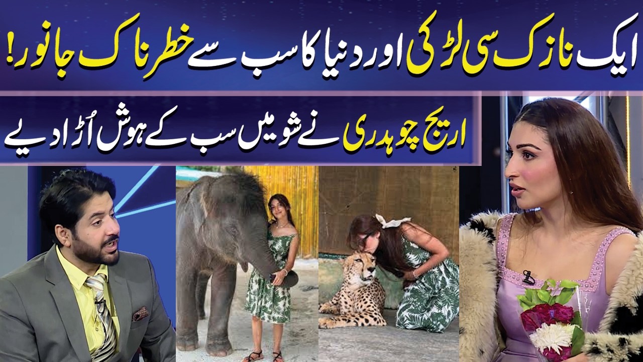 Areej Chaudhary Shares Her Horrible Hobby | Areej Chaudhary | Imran Ashraf | Mazaq Raat | Dunya News