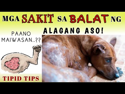 Video: Troubleshooting Floppy Garlic: Mga Dahilan ng Paglalagas ng Halamang Bawang